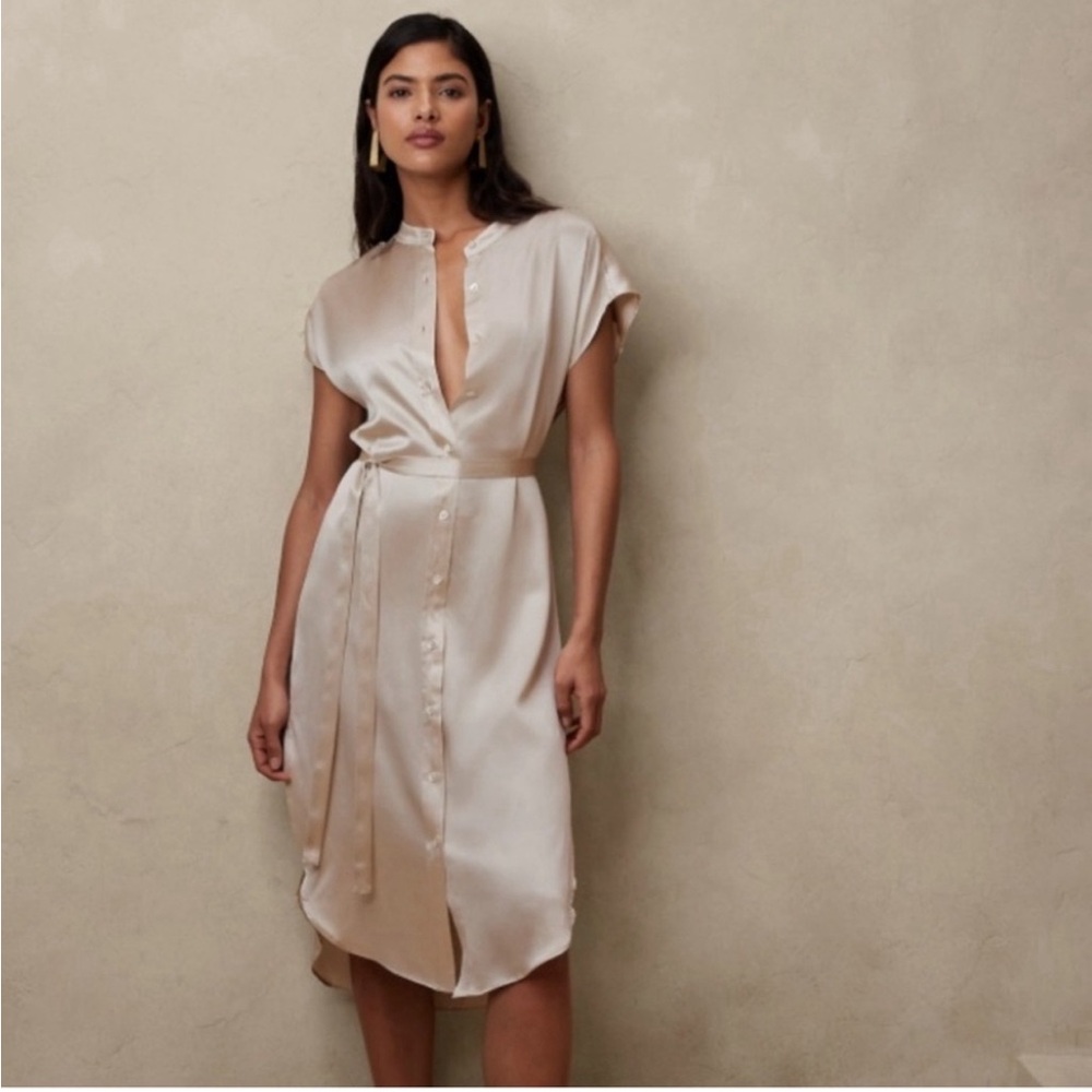 Banana Republic Serenade Silk Pearl Dress NWT